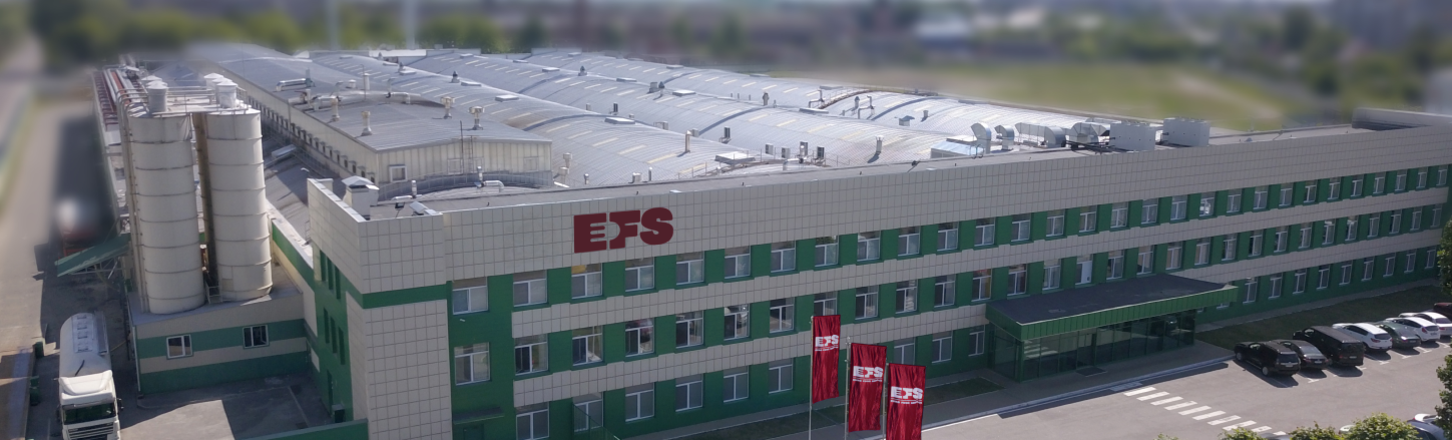 EFS